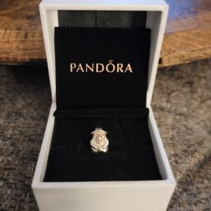 Pandora Witch Charm